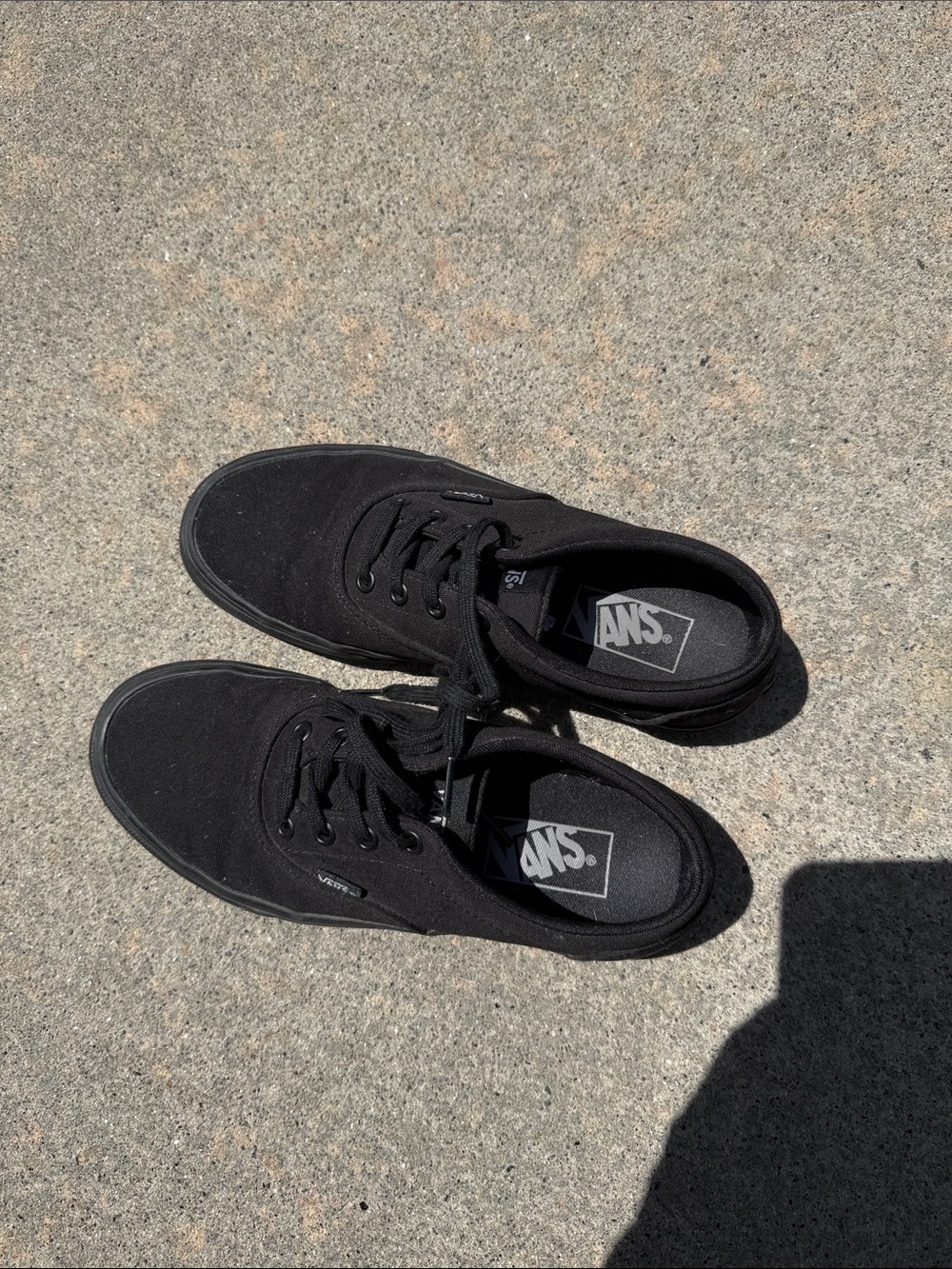 Vans Black Low-Top Canvas Sneakers